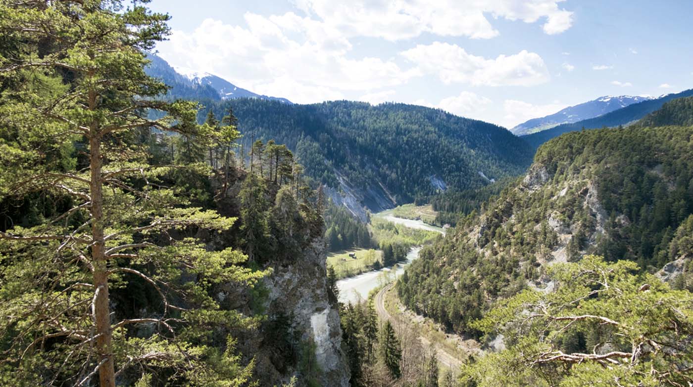AVM - Bewaldete Schlucht