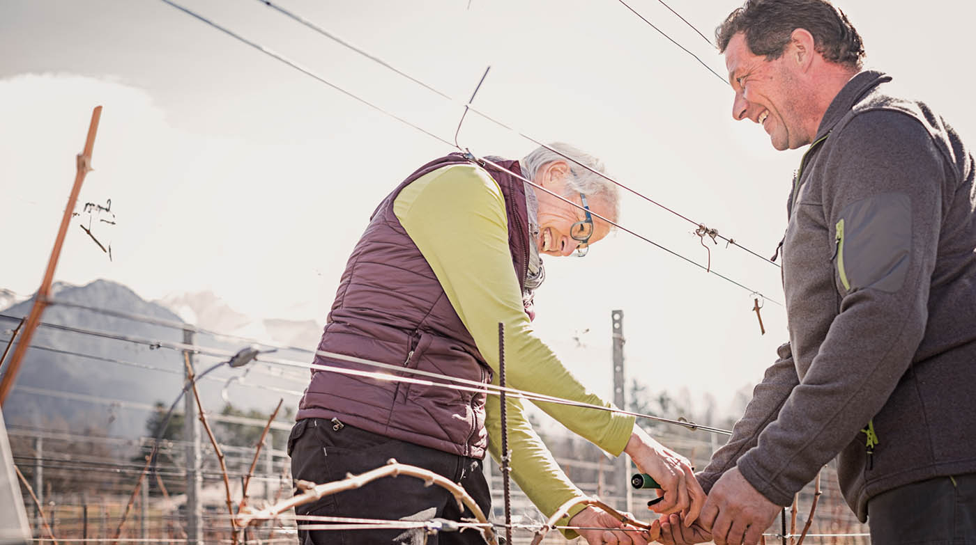 von Salis - Bei der Weinernte