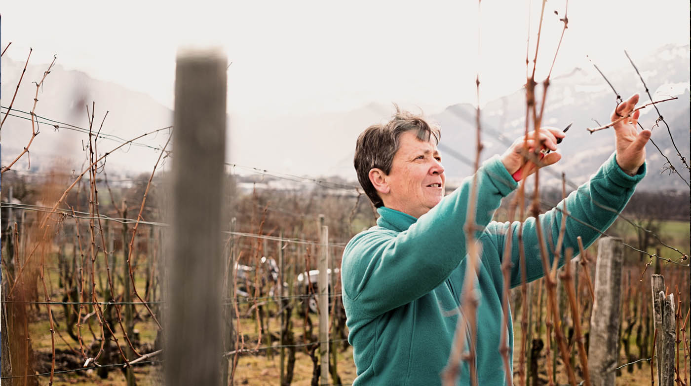 von Salis - Winzer bei der Arbeit