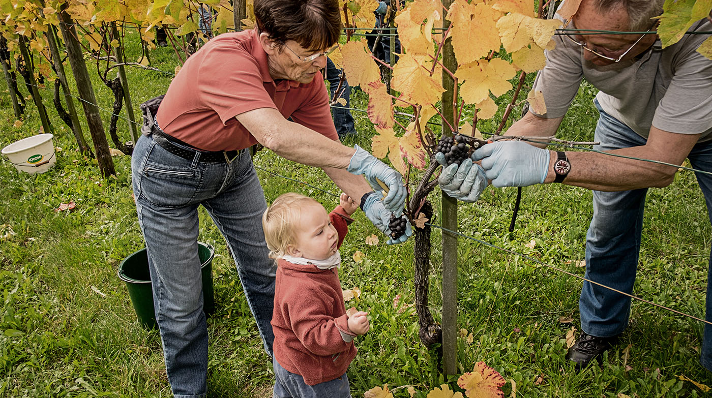 Wimmeln bei von Salis