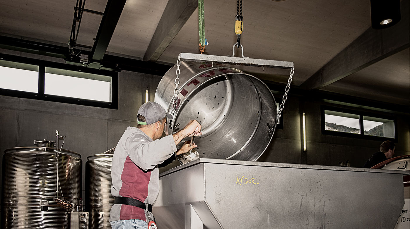 Wimmeln bei von Salis