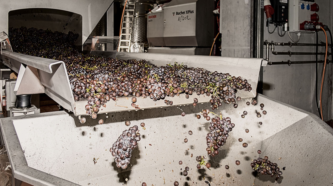 Ernte auf dem Fliessband