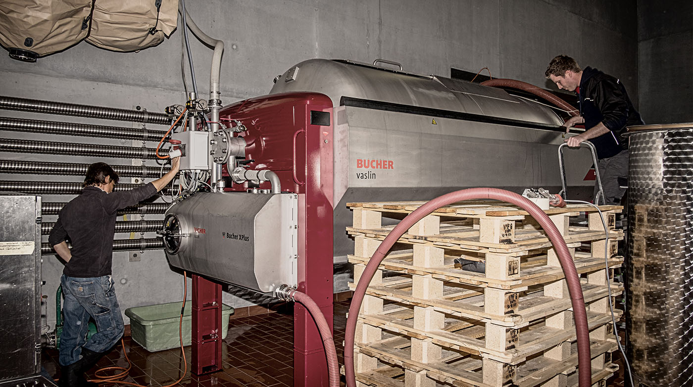 Ernte bei der Verarbeitung