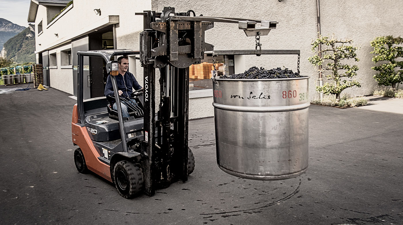 Ernte bei der Verarbeitung